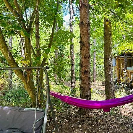 каравана синята маймуна плаж градина # Rv Blue Monkey On The Camping Tjernomorets