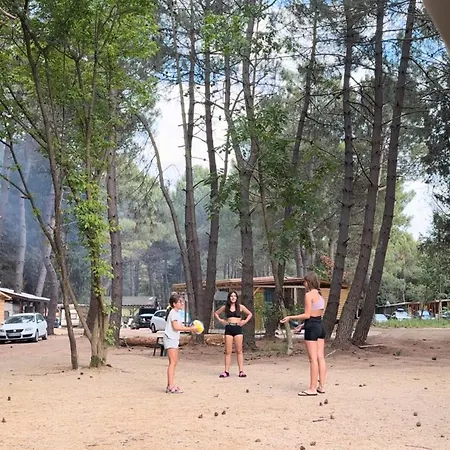 каравана синята маймуна плаж градина # Rv Blue Monkey On The Camping