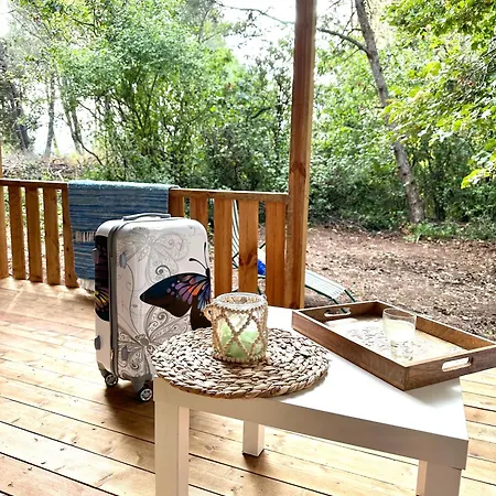 каравана синята маймуна плаж градина # Rv Blue Monkey On The Camping Tjernomorets
