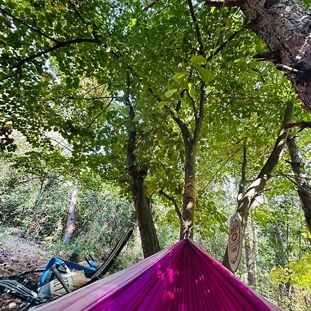 каравана синята маймуна плаж градина # Rv Blue Monkey On The Camping