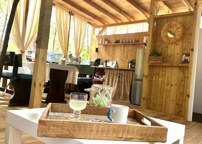 каравана синята маймуна плаж градина # Rv Blue Monkey On The Camping