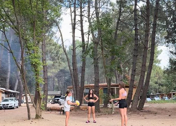 каравана синята маймуна плаж градина # Rv Blue Monkey On The Camping