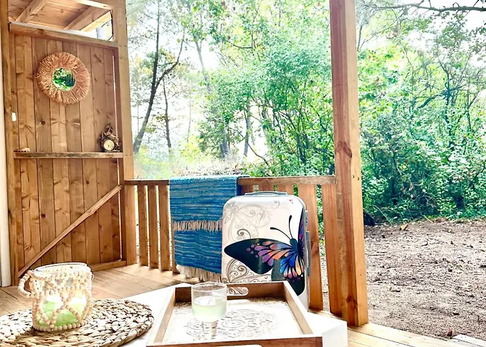 каравана синята маймуна плаж градина # Rv Blue Monkey On The Camping Cernomoreț