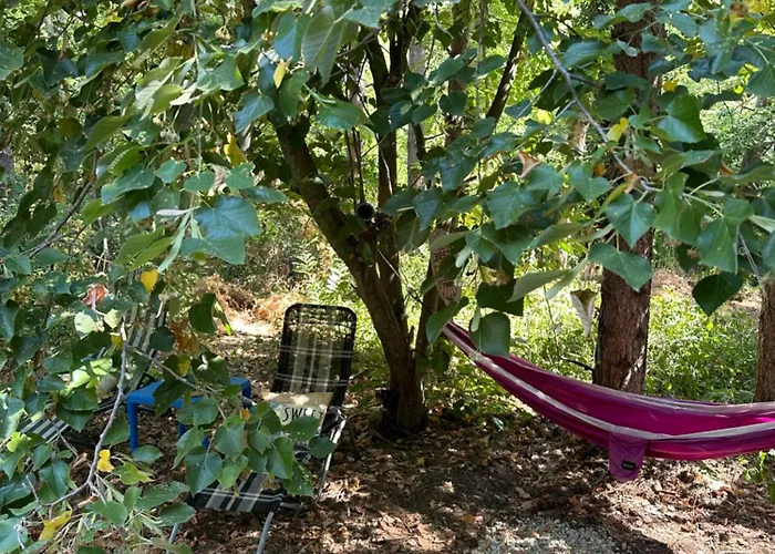 Camping каравана синята маймуна плаж градина # Rv Blue Monkey On The *