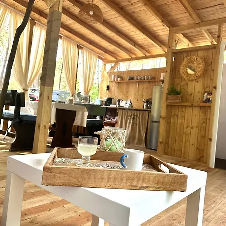 каравана синята маймуна плаж градина # Rv Blue Monkey On The Camping