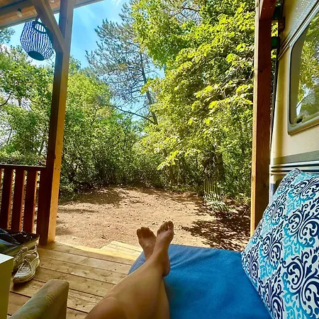 Campsite каравана синята маймуна плаж градина *