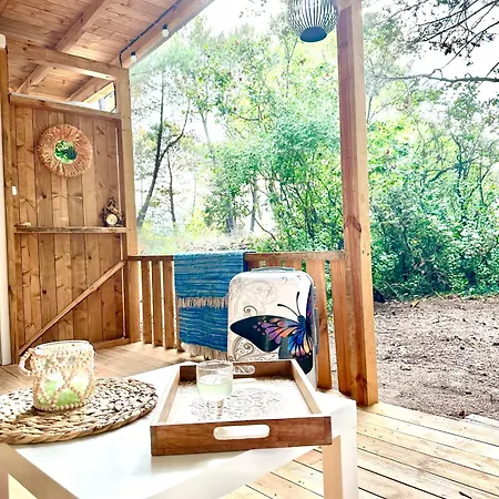 каравана синята маймуна плаж градина # Rv Blue Monkey On The Camping Tchernomorets