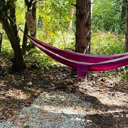 каравана синята маймуна плаж градина # Rv Blue Monkey On The אתר קמפינג *