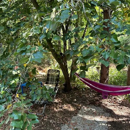 Camping каравана синята маймуна плаж градина # Rv Blue Monkey On The *