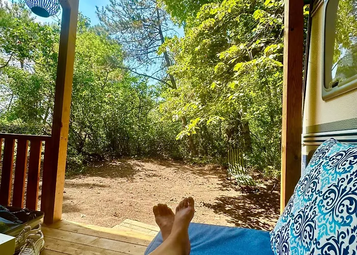 Campsite каравана синята маймуна плаж градина # Rv Blue Monkey On The *