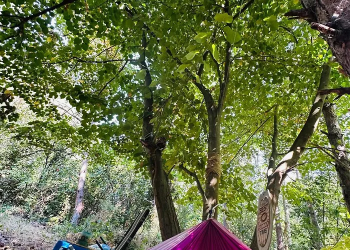 каравана синята маймуна плаж градина # Rv Blue Monkey On The Parque de Campismo